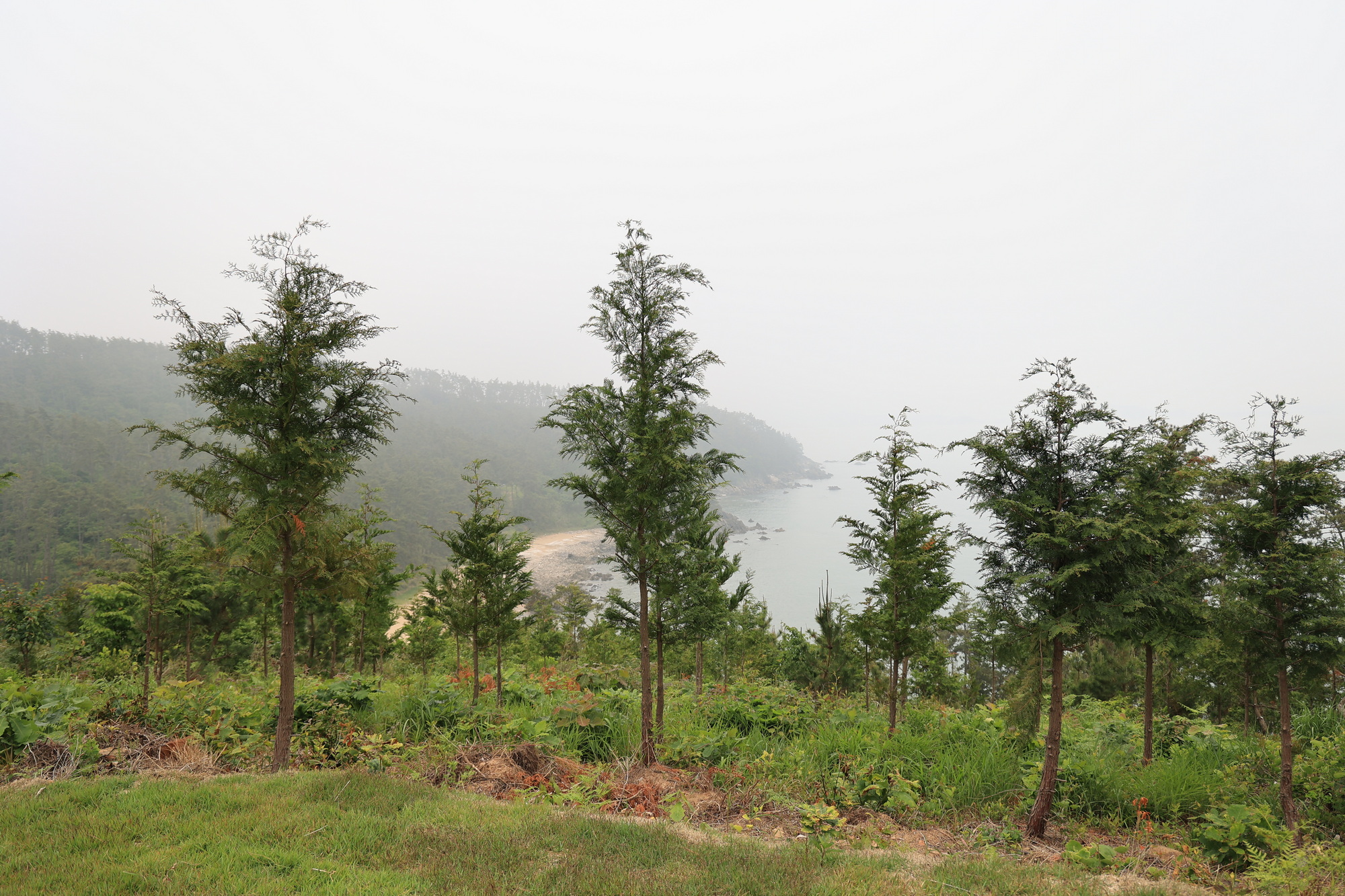 에스이(SE)클럽관광농원야영장 8번째 이미지