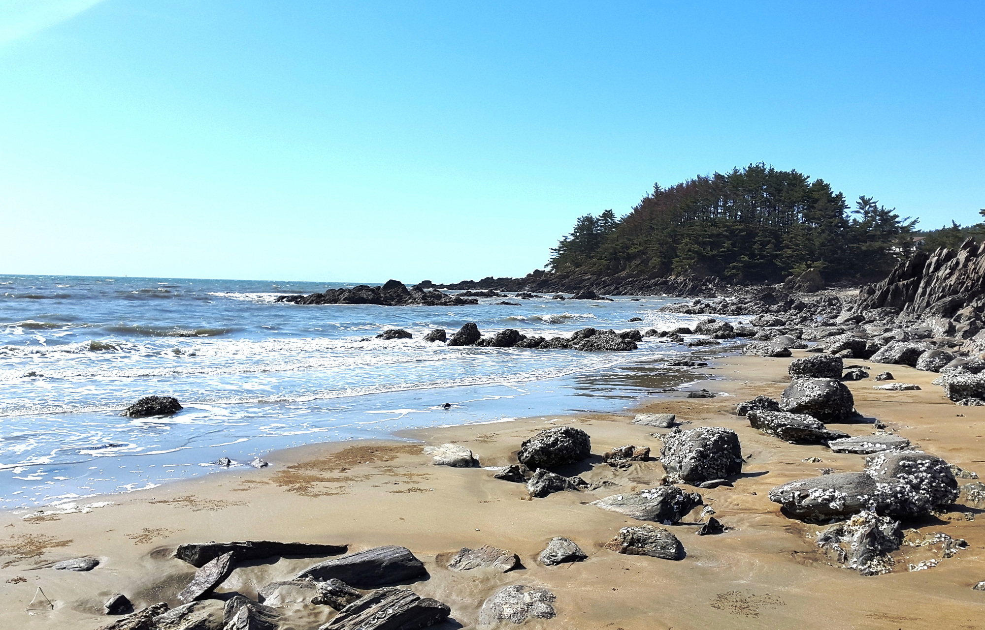 에스이(SE)클럽관광농원야영장 14번째 이미지