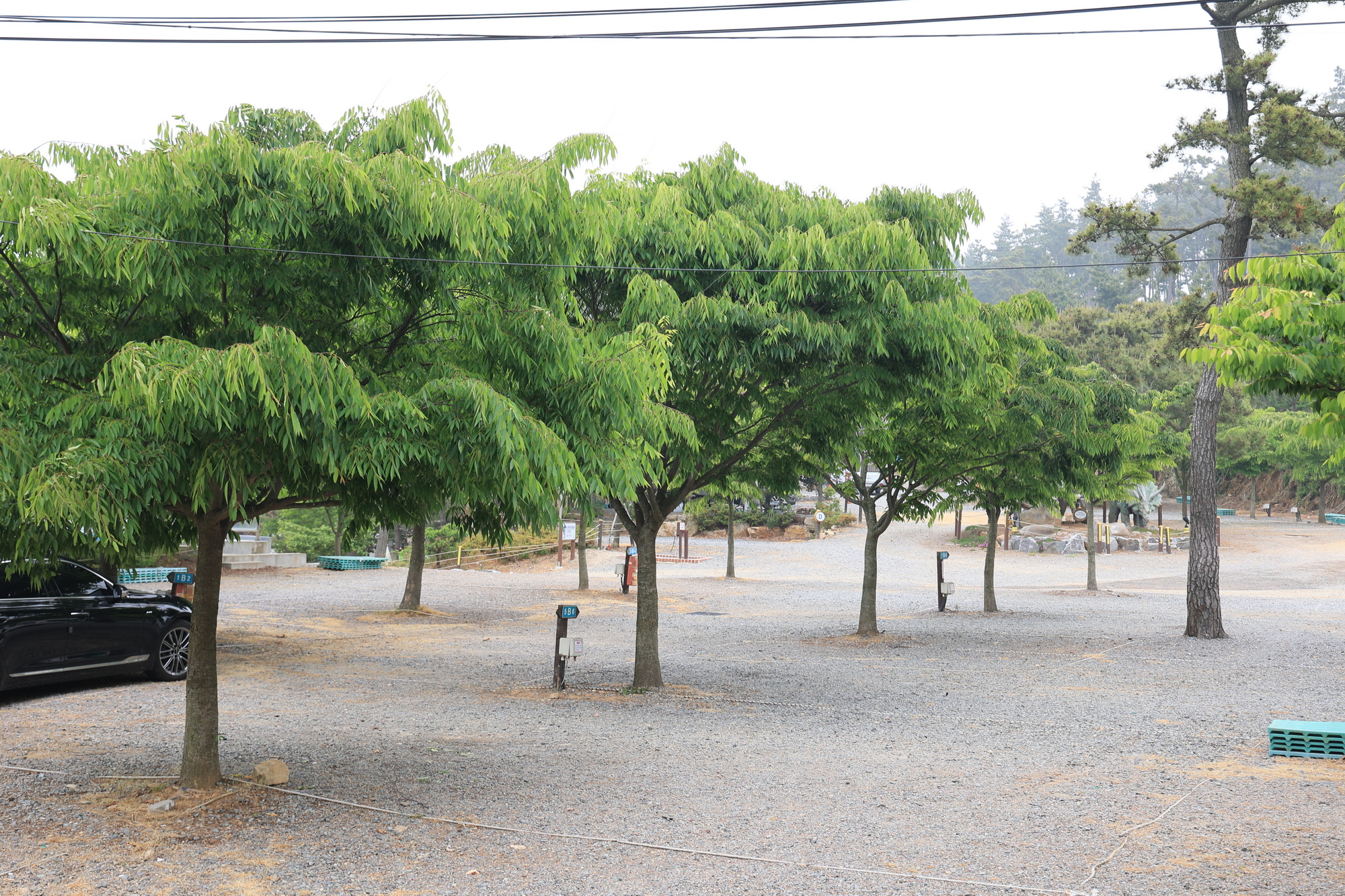 에스이(SE)클럽관광농원야영장 7번째 이미지