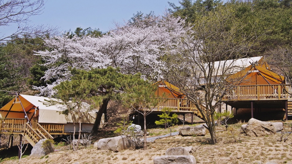 아웃오프 글램핑