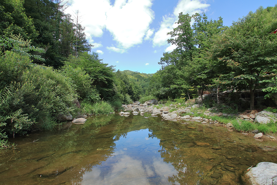 자연스런 캠핑장