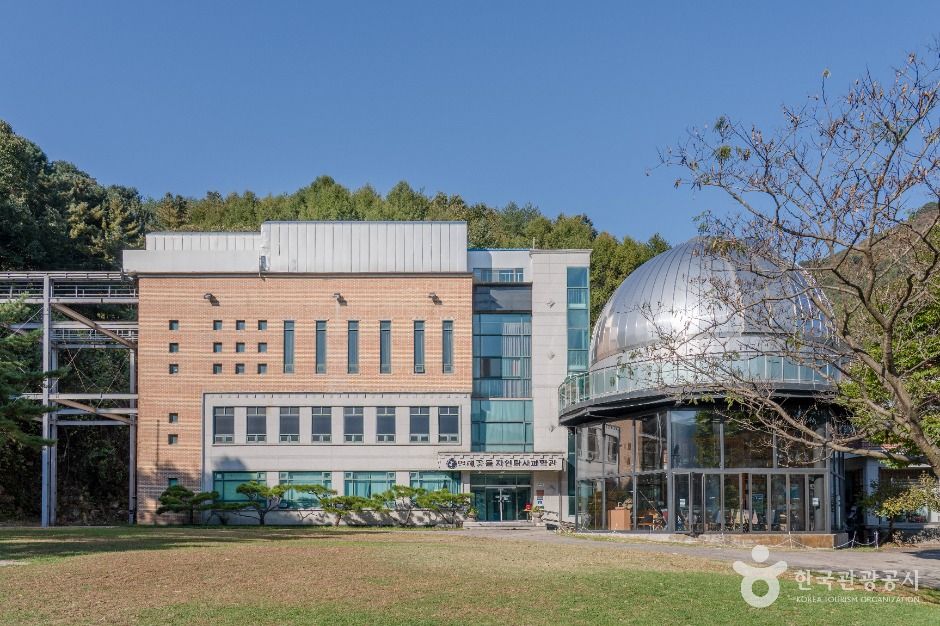 자연스런 캠핑장