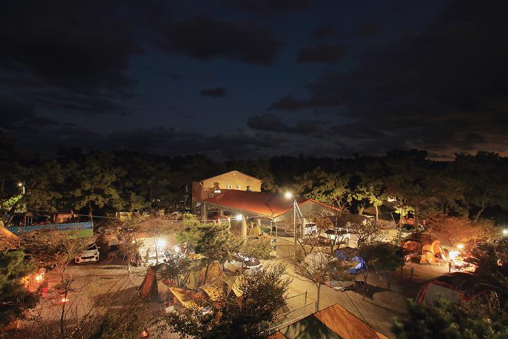 [경상북도 포항시] 그린오토캠핑장 – 바닷가 앞에 터를 잡은 숲속 캠핑장