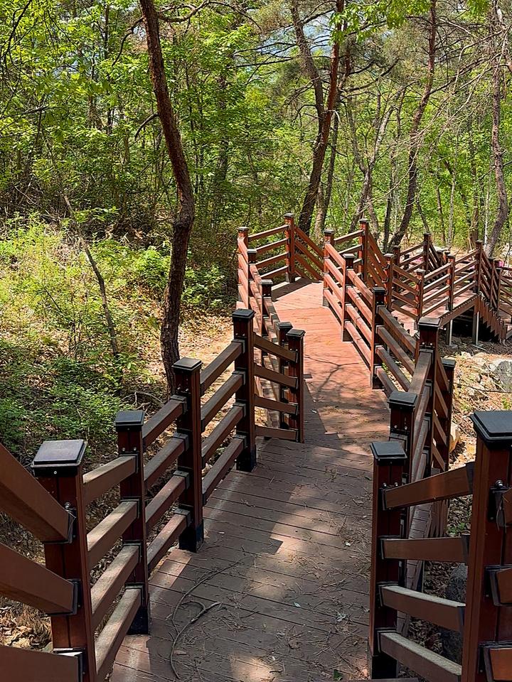 [경상북도 의성군] 숲속야영장 – 3키로 이상, 5개의 숲속둘레길이 있는 숲속 캠핑장