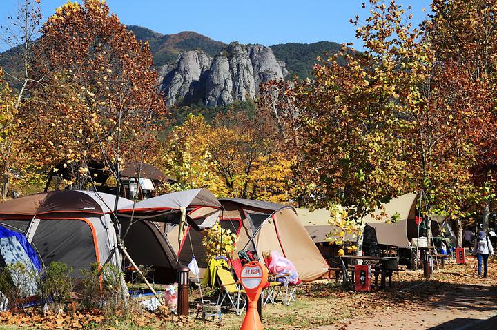 [경상북도 청송군] 상의자동차야영장 – 주왕산이 품은 천혜의 절경