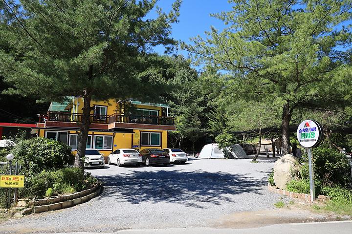 [강원특별자치도 영월군] 숲속의아침