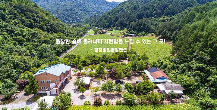 [강원특별자치도 평창군] 해마루오토캠핑장