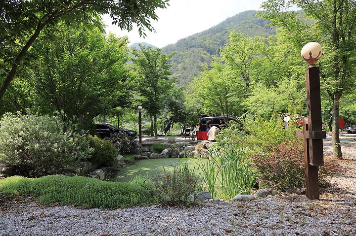 [강원특별자치도 영월군] 외룡송어회 캠핑장 – 옥동천변 송어양식과 식당을 겸한 야영장