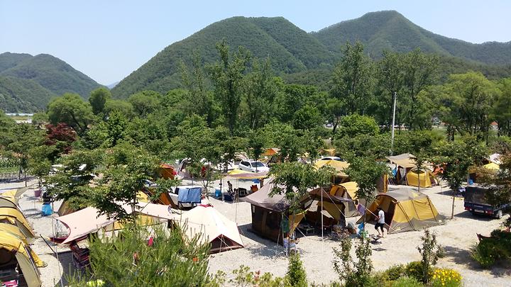 [강원특별자치도 영월군] 보보스캇 캠핑장