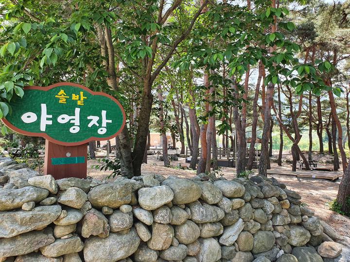[전북특별자치도 무주군] 무주 솔밭야영장 – 숲속의 피톤치드와 함께 생활이 가능한 곳