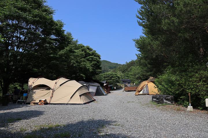 [강원특별자치도 영월군] 월드니스 오토캠핑장 – 강변 숲속에 위치한 자연친화적인 오토캠핑장