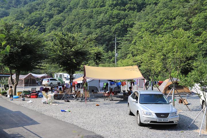 [강원특별자치도 영월군] 더좋은 펜션 캠핑장