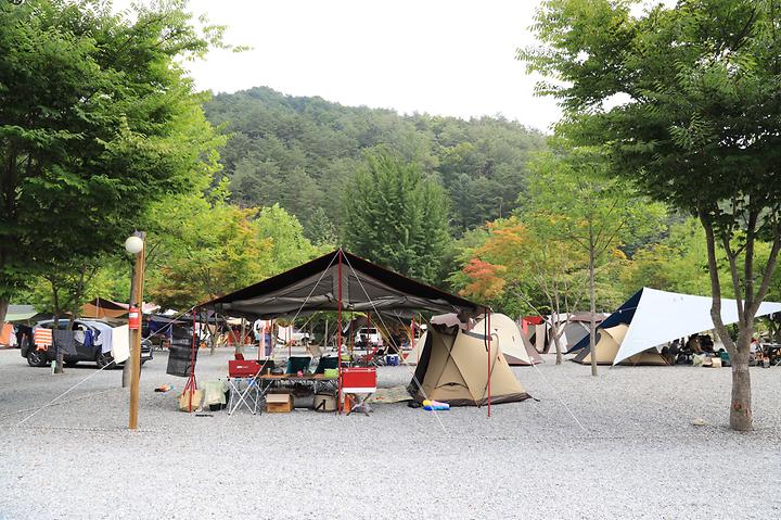 [강원특별자치도 영월군] 두산분교 캠핑장