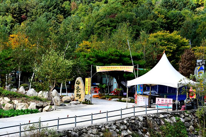 [경기도 가평군] 또올래캠핑장 – 자작나무숲, 차로와 분리 안전 캠핑장, 넓은 사이트, 계곡과 폭포