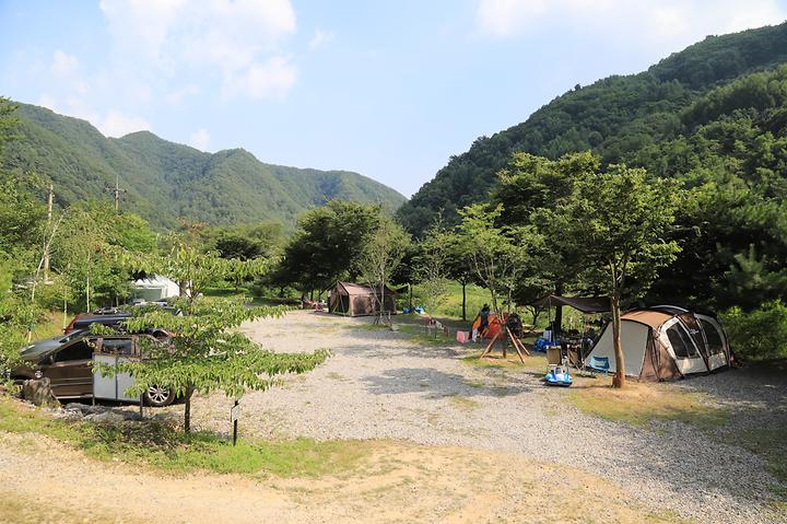 [강원특별자치도 영월군] 호식이 캠핑장