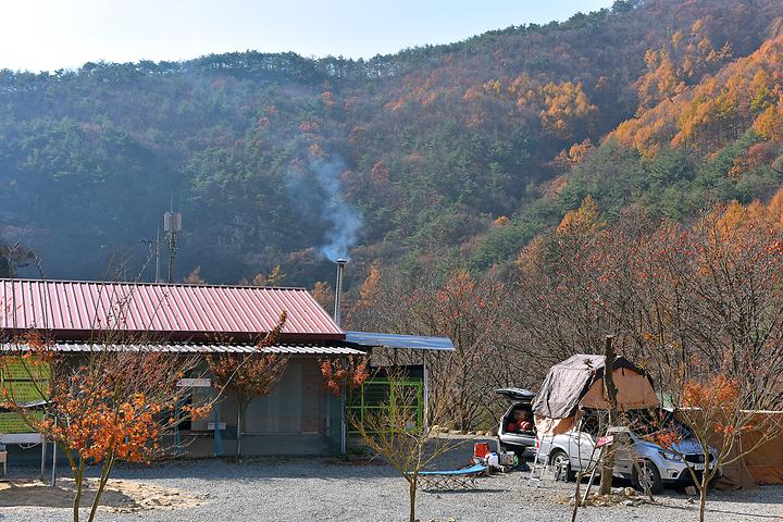 [경상북도 문경시] 숲이조아캠핑장