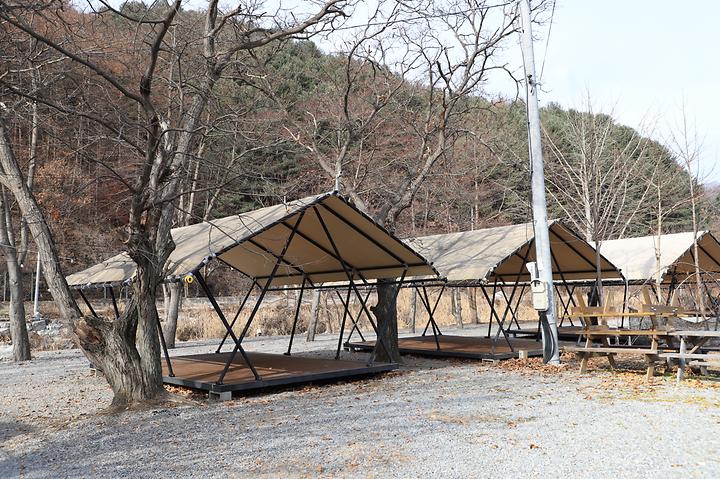 [강원특별자치도 춘천시] 강촌포도팬션&캠핑장