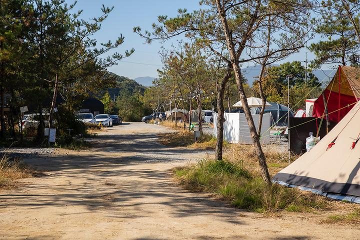 [경기도 양주시] 양주 리온 캠핑장