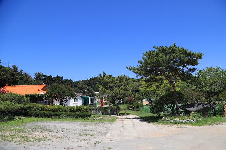 [인천광역시 영종구] 락인뜰 캠핑장