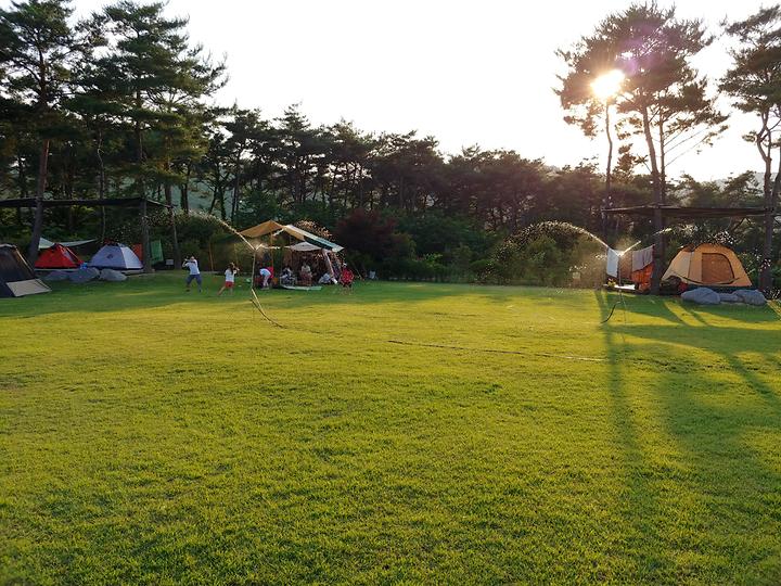 [전남광주통합특별시 화순군] 숲속의베리팜 – 친환경 무농약 블루베리 농장을 체험해볼 수 있는 숲속의 팜핑