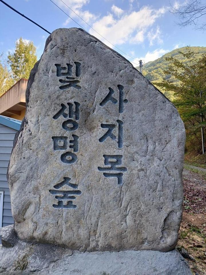 [경상남도 양산시] 빛 생명 숲 사지목 – 그늘 많은 시원한 계곡에서 즐기는 신나는 명상 피크닉
