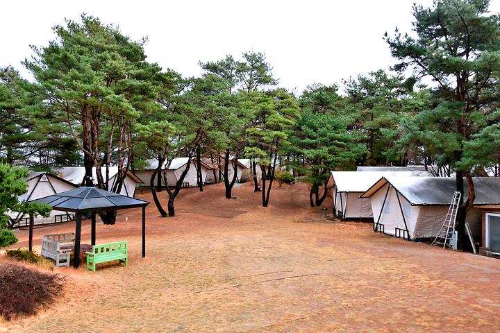 [전남광주통합특별시 광양시] 느랭이골 자연휴양림 일반야영장 – 반짝이는 느랭이골의 환상적인 낮과 밤