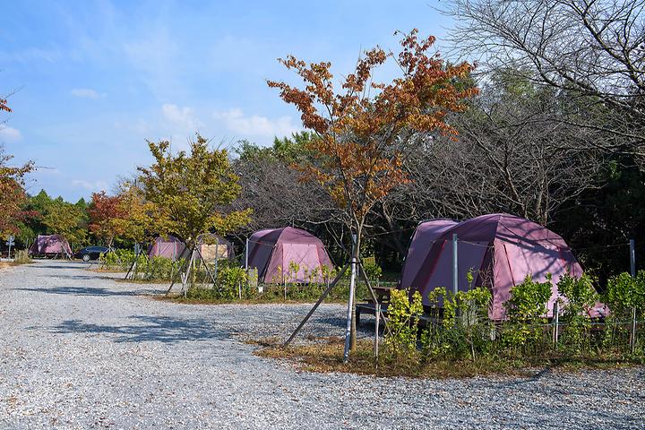 [전남광주통합특별시 함평군] 함평나비마을 서울캠핑장 – 녹음이 우거진 곳에서 맑고 안락한 캠핑을 경험해보자.