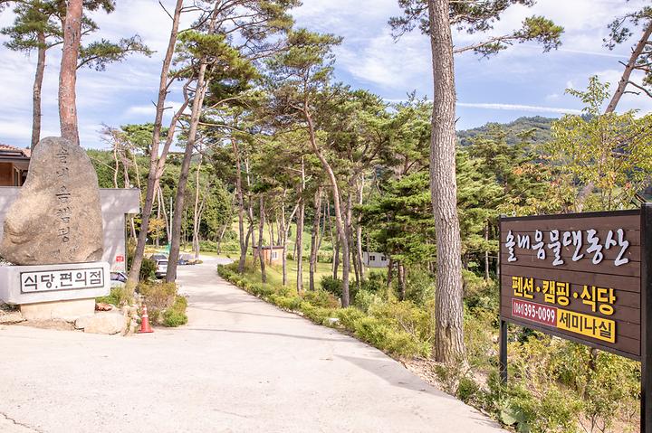 [전남광주통합특별시 장성군] 솔내음 물댄동산 야영장 – 널찍한 잔디밭과 소나무가 어우러진 캠핑장