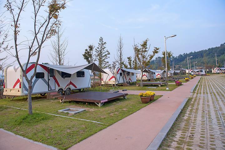 [전남광주통합특별시 무안군] 회산백련지 오토캠핑장 – 회산 백련지에서 연꽃도 보고 캠핑도 하고 1석 2조