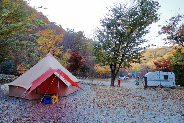 [강원특별자치도 횡성군] THATS CAMPING 횡성자연휴양림야영장 – 자연을 온전히 만끽할 수 있는 캠핑장
