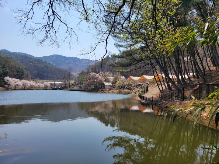 [충청남도 부여군] 판앤팜 치유정원 – 호수와 숲, 텃밭과 낚시를 함께 즐기는 체류형 글램핑 치유정원입니다.