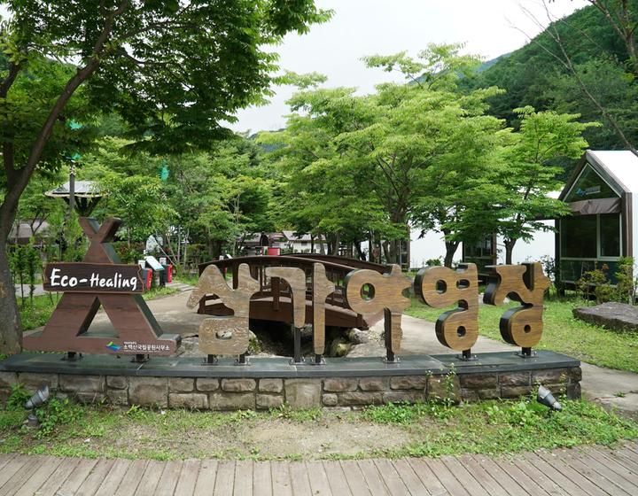 [경상북도 영주시] 소백산국립공원 삼가야영장 – 소백산 비로봉 아래에 위치한 친환경 캠핑장