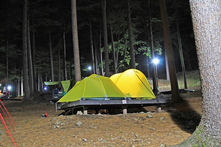[전북특별자치도 무주군] 덕유산 자연휴양림 – 울창한 낙엽송 숲이 일품인 국립 자연휴양림 캠핑장