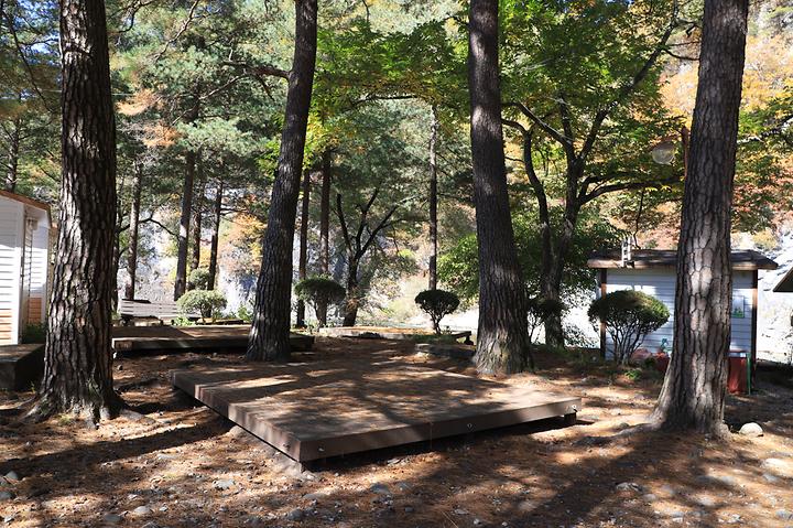 [강원특별자치도 정선군] 정선 삼시세끼 스쿨 캠핑장
